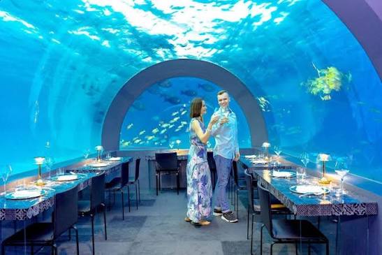 The Cocoon Collection Heads North with Starter Program Tour 2026