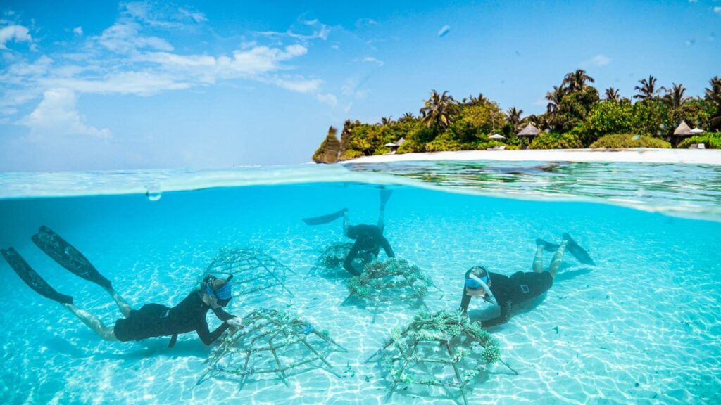 Four Seasons Resorts Maldives Wins 2026 HICAP Sustainable Hotel Award for Biodiversity Action & Education