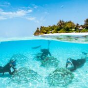 Four Seasons Resorts Maldives Wins 2026 HICAP Sustainable Hotel Award for Biodiversity Action & Education