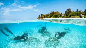 ހައިކެޕްގެ ސަސްޓެއިނަބަލް ހޮޓެލް އެވޯޑު ފޯ ސީޒަންސް ރިޒޯޓްސް މޯލްޑިވްސްއަށް