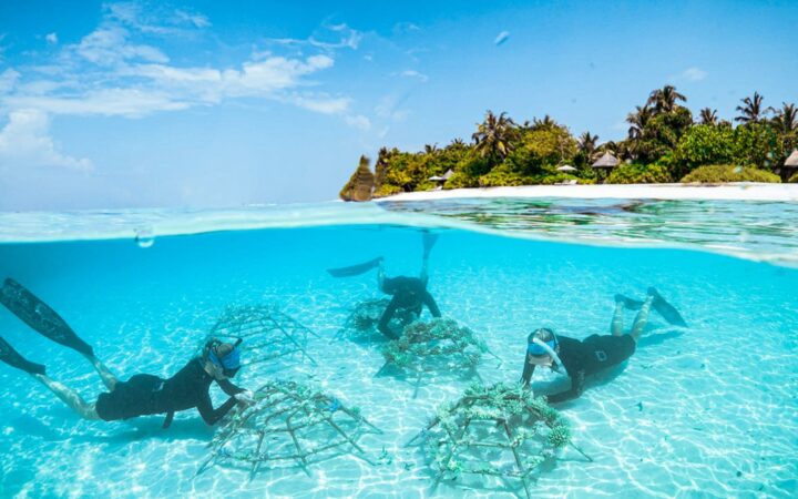 ހައިކެޕްގެ ސަސްޓެއިނަބަލް ހޮޓެލް އެވޯޑު ފޯ ސީޒަންސް ރިޒޯޓްސް މޯލްޑިވްސްއަށް